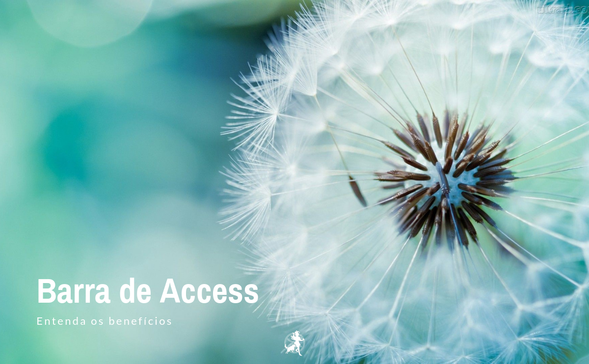O que é a Barra de Access?